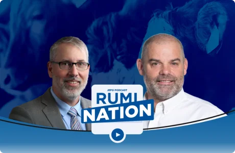 Deux experts en nutrition animale discutent dans le podcast Rumination de Jefo – épisode 5, saison 2, sur fond bleu.