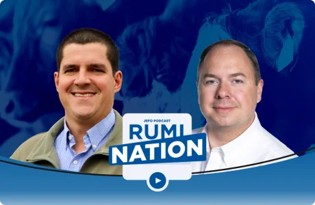 Rumination podcast episode 13: two animal nutrition experts discuss key issues in Jefo’s season 5.
