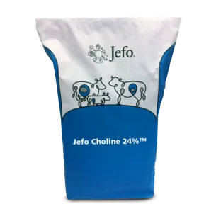 Jefo Choline 24%™