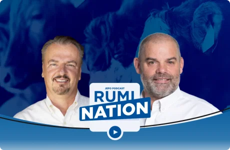 Two Jefo animal nutrition experts featured in Rumination podcast, episode 9, with dairy cattle in the background.