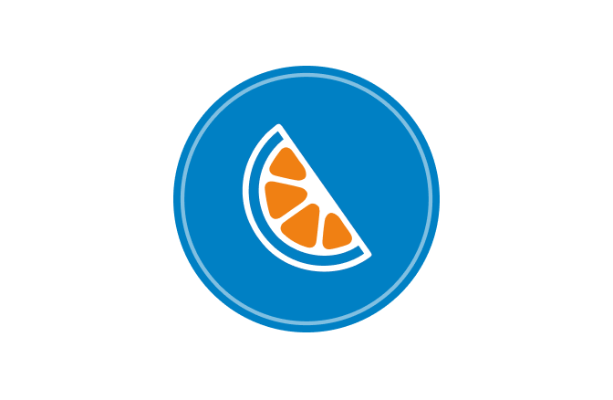 Citrus slice icon symbolizing vitamin C in Jefo’s nutritional solutions for managing animal heat stress.
