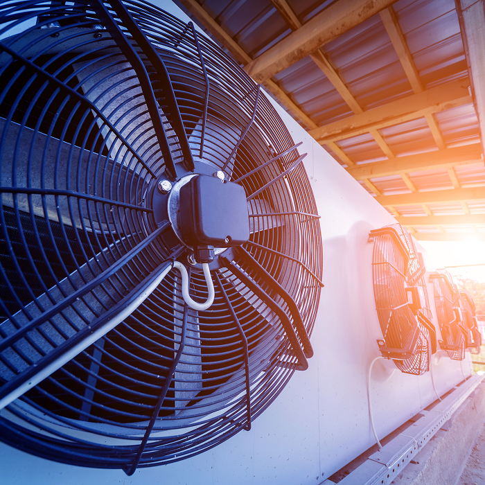 Industrial fans in a livestock facility, helping reduce heat stress and improve animal welfare in farming operations.