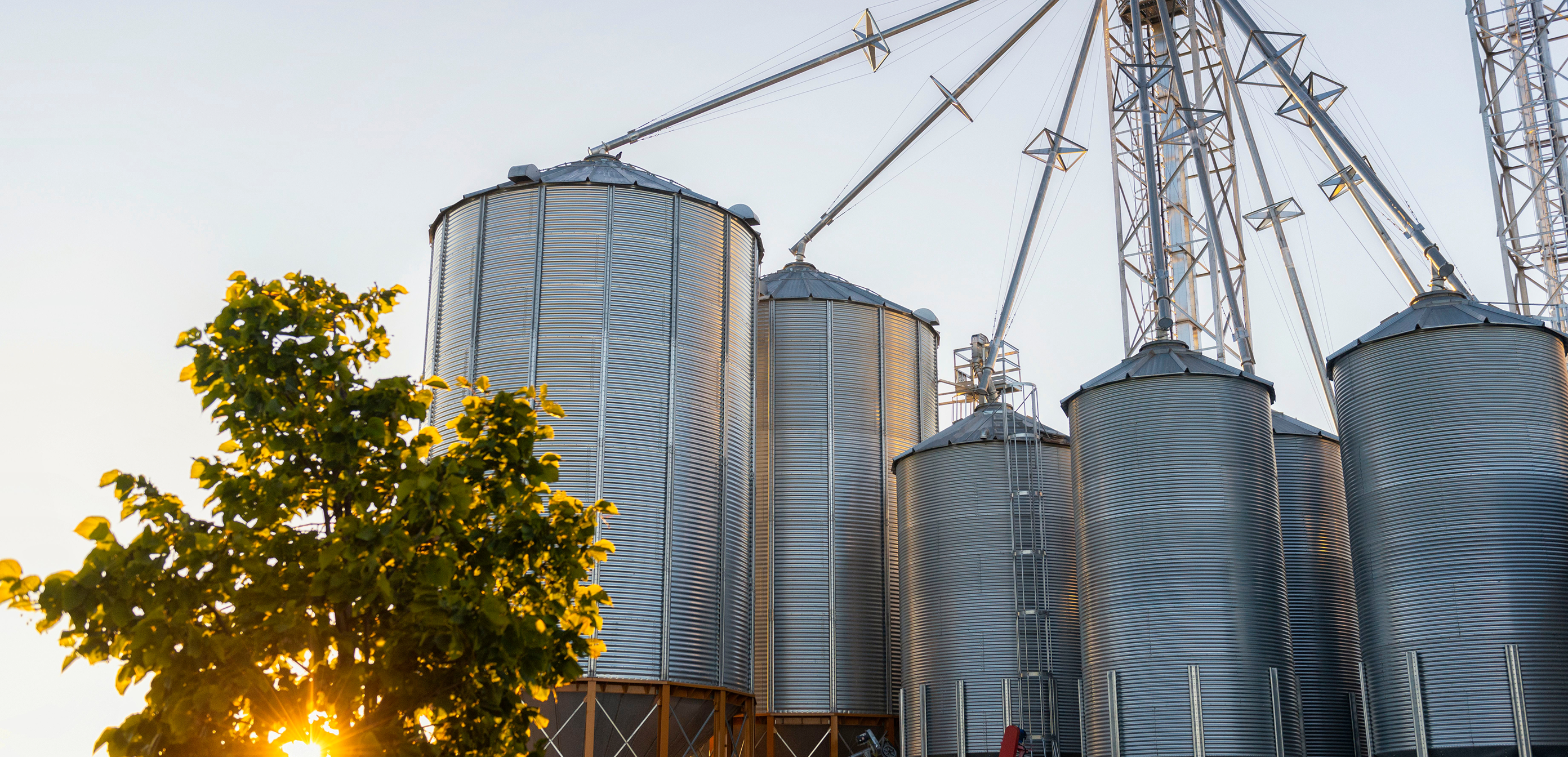 Industrial silos at sunset, symbolizing award-winning innovation in sustainable animal nutrition.