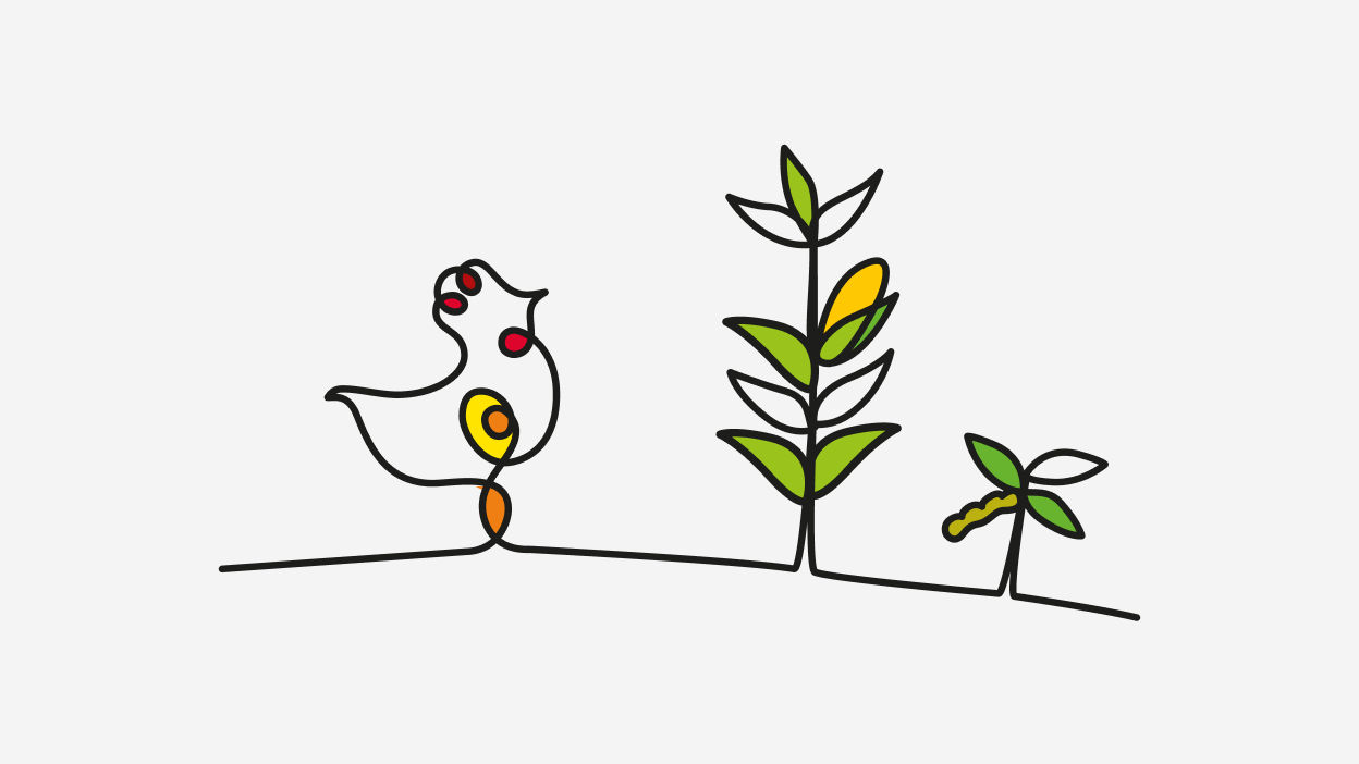 Illustration of poultry, plants and enzyme, reflecting Jefo’s sustainable approach to animal nutrition.