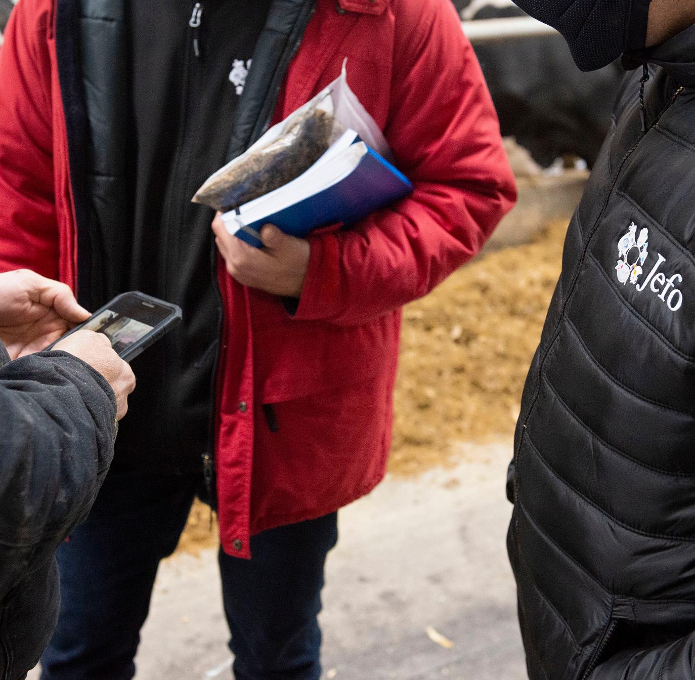 Expertos de Jefo en reunión en campo para optimizar la nutrición animal con soluciones técnicas adaptadas.