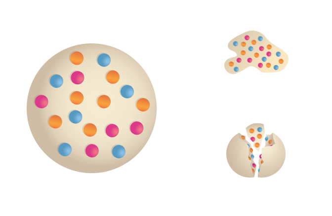 Illustration of a JMT matrix gradually releasing encapsulated nutrients for targeted absorption in animal nutrition.