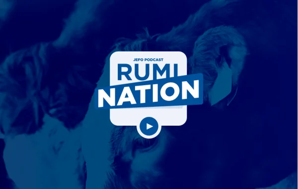 Rumination