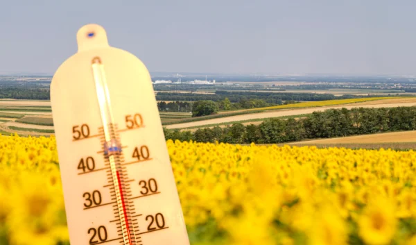 Heat Stress