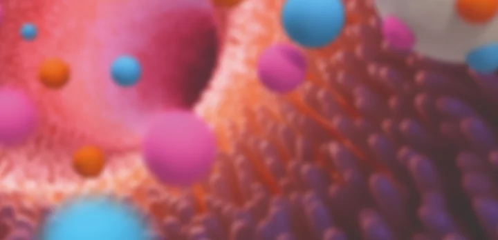 Vue stylisée de particules dans l’intestin, illustrant l’action ciblée des solutions Jefo en nutrition animale.