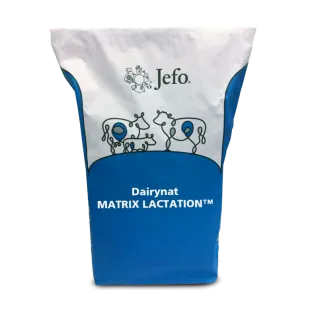 Dairynat MATRIX LACTATION™