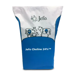 Jefo Choline 24%™
