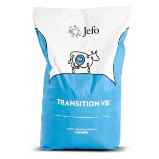 TRANSITION VB™
