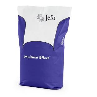 Multinat Effect
