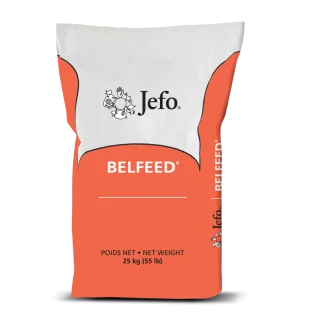 Belfeed