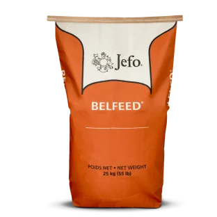 Belfeed