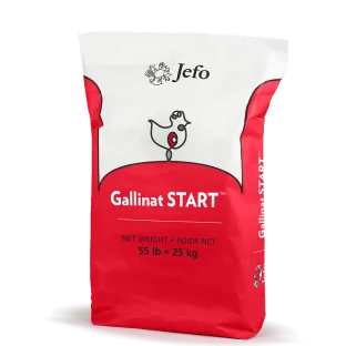 Gallinat START™