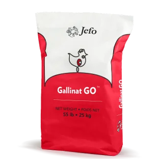 Gallinat® GO™ NN.W2G0