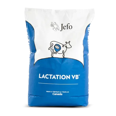 Bag Jefo LACTATION VB Dairy