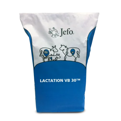 Bag Jefo LACTATION VB 30 Dairy