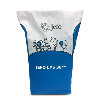 Bag JEFO LYS 30 Dairy Beef