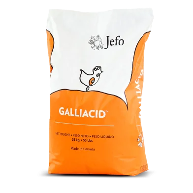 saco Jefo GALLIACID Aves