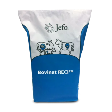 Bag Jefo Bovinat RECI Beef