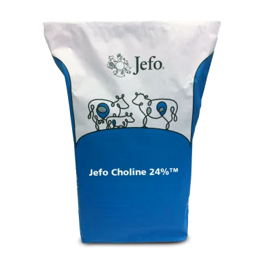 Bag Jefo Choline 24% Dairy