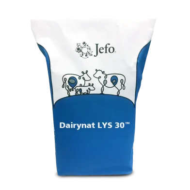 SAC JEFO Dairynat LYS 30 Vaches laitières
Boeufs