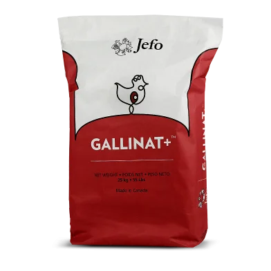 Bag Jefo GALLINAT+ Poultry