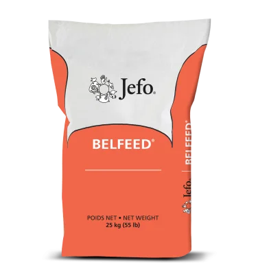 Bag Jefo Belfeed Poultry Swine