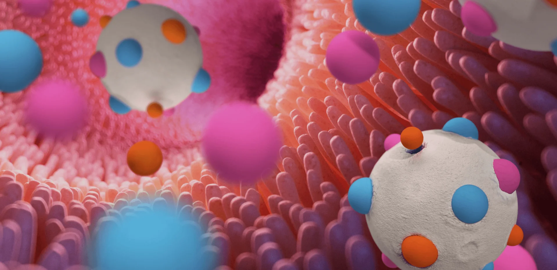 3D representation of the Jefo Matrix Technology