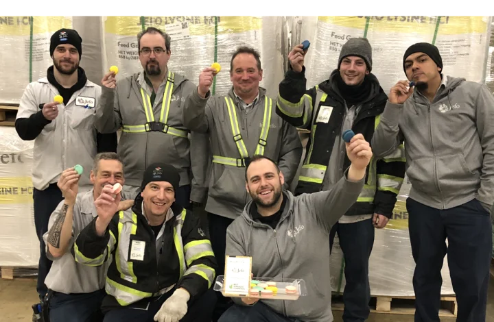 Jefo logistics team celebrating 2019 Gold Standard with colorful macarons in the animal nutrition warehouse.