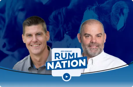 Two ruminant nutrition experts with the Rumination podcast logo – season 1, episode 5.
