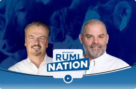 Two Jefo animal nutrition experts featured in Rumination podcast, episode 9, with dairy cattle in the background.
