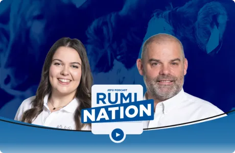 Dos expertos de Jefo en nutrición animal participan en el pódcast Rumination, episodio 7 temporada 3, con fondo azul.