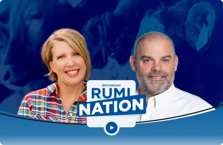 Two animal nutrition experts in episode 6, season 4 of the Rumination podcast, with a blue cattle-themed background.