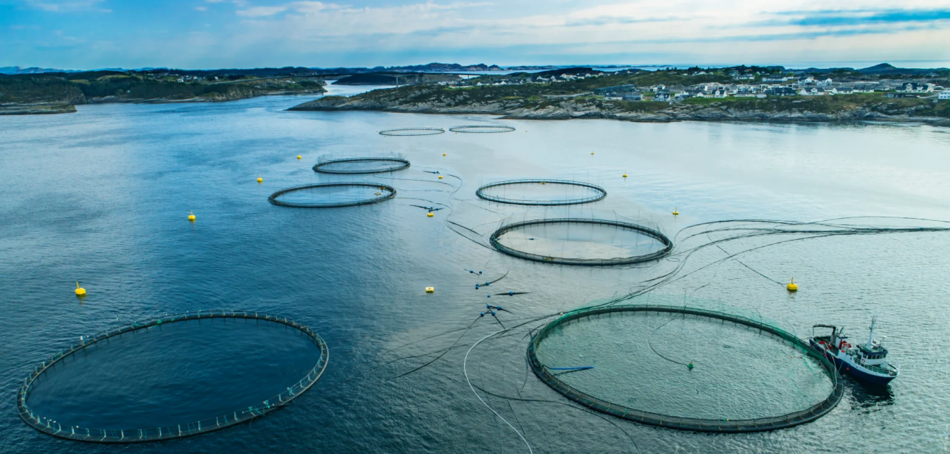 Aerial view of offshore aquaculture facilities, showcasing sustainable fish farming in animal nutrition.
