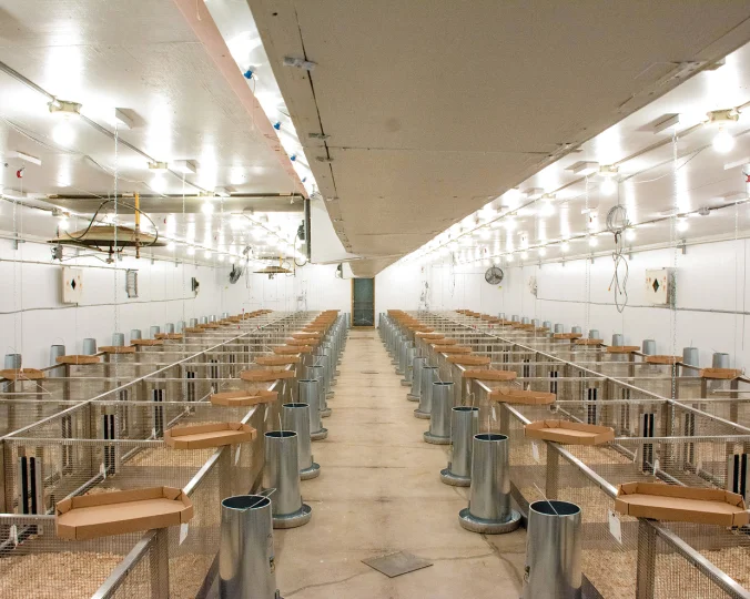 Poultry research facility at Jefo’s center, equipped for precision animal nutrition studies.