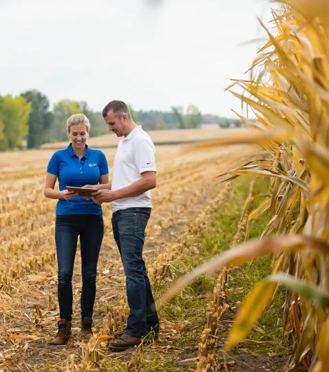 Two Jefo experts review animal nutrition research data in a harvested cornfield, using a tablet.
