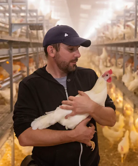 Éleveur tenant une poule blanche dans un élevage avicole, illustrant l’expertise en nutrition animale et le soin apporté.