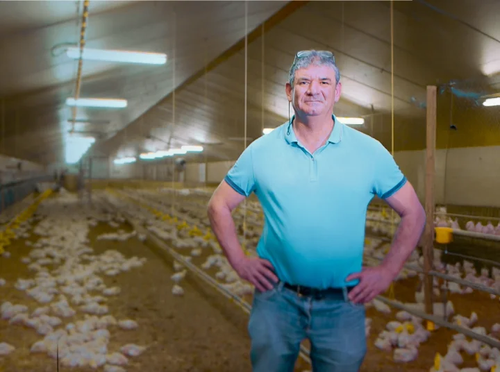 Éleveur dans un poulailler moderne avec volaille au sol, illustrant un témoignage sur la nutrition animale en aviculture.
