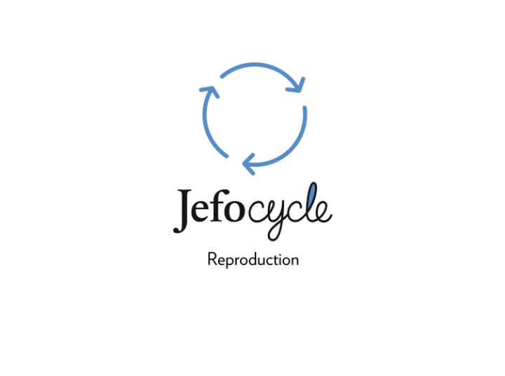 Jefo Cycle logo with the "Reproduction" tagline on white background