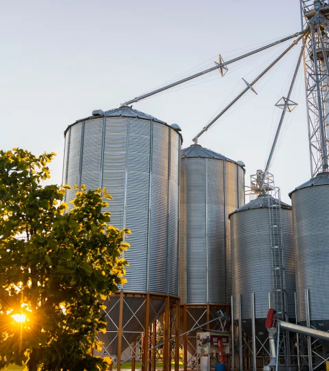 View of animal feed silos at sunset, highlighting feed mill facilities and storage in animal nutrition production.
