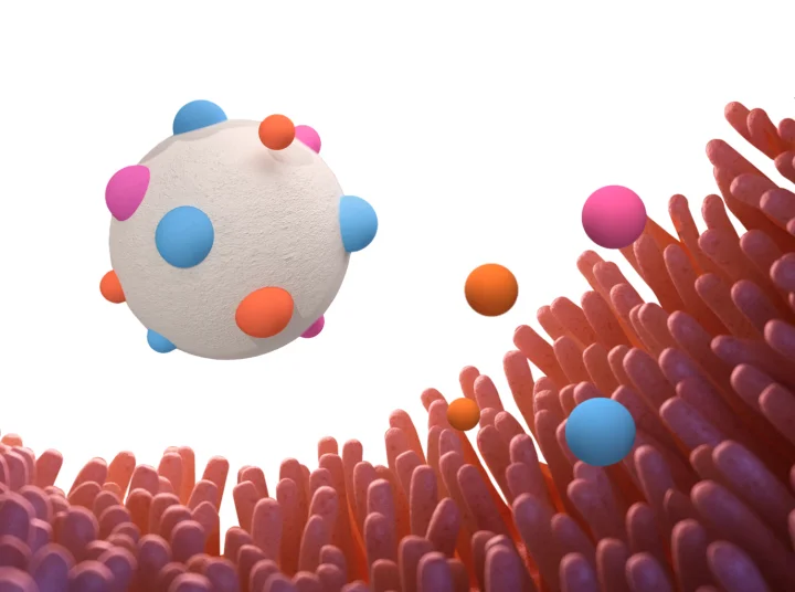 Microcápsula de Jefo liberando nutrientes dirigidos al contacto con vellosidades intestinales para una absorción óptima.