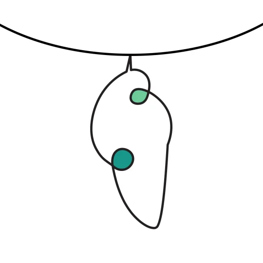 Illustration of a hanging chrysalis, representing evolution in animal nutrition.