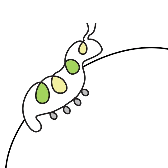Illustration of a larva crawling on a curved line, symbolizing the beginning of the animal nutrition cycle.